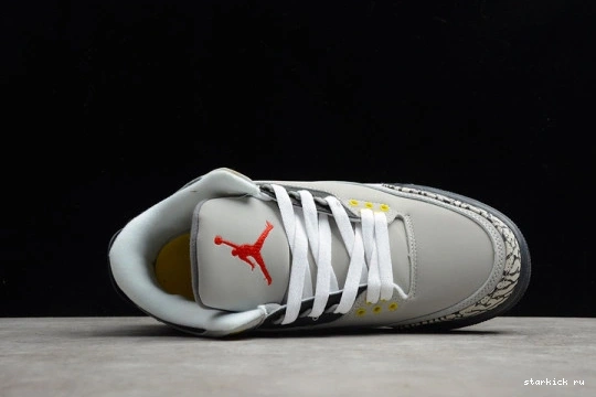 Jordan CT8532-012 (2021) Cool Grey Retro CT8532-012 3 AIR 0106